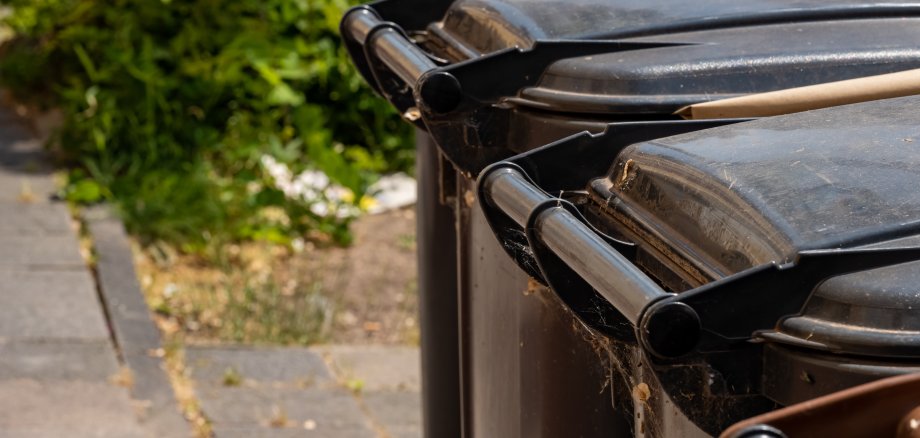 Änderung der Abholtermine für Restmülltonnen in 2025