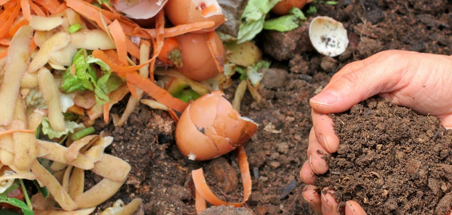 Die Biotonne kommt 2026