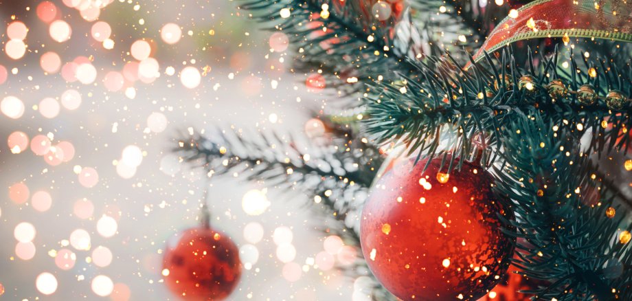 Bilder_Homepage - 4 Bilder_Homepage - 4