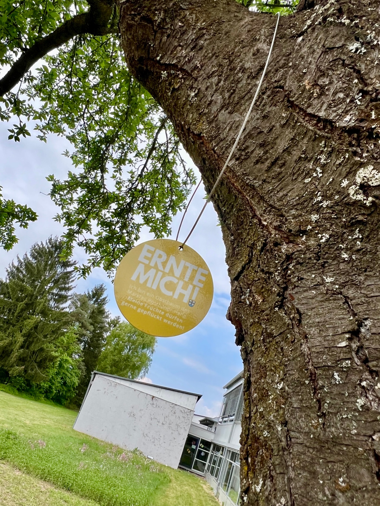 Ernte Mich Schild an Obstbäumen