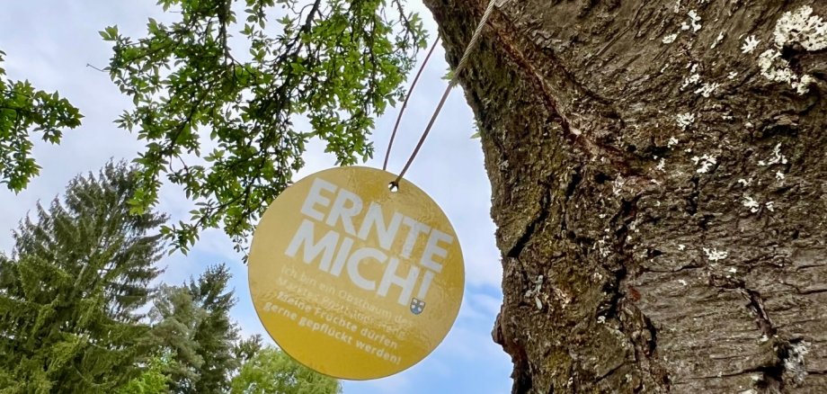 Ernte Mich Schild an Obstbäumen