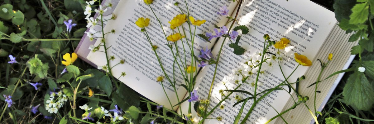 Design ohne Titel - 1 Buch im Gras