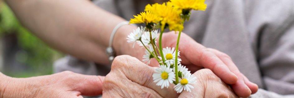 Muster Hochzeit Banner Facebook-Cover - 1 Wiesenblumen