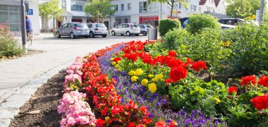 Blumen im Centrum