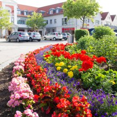 Blumen im Centrum