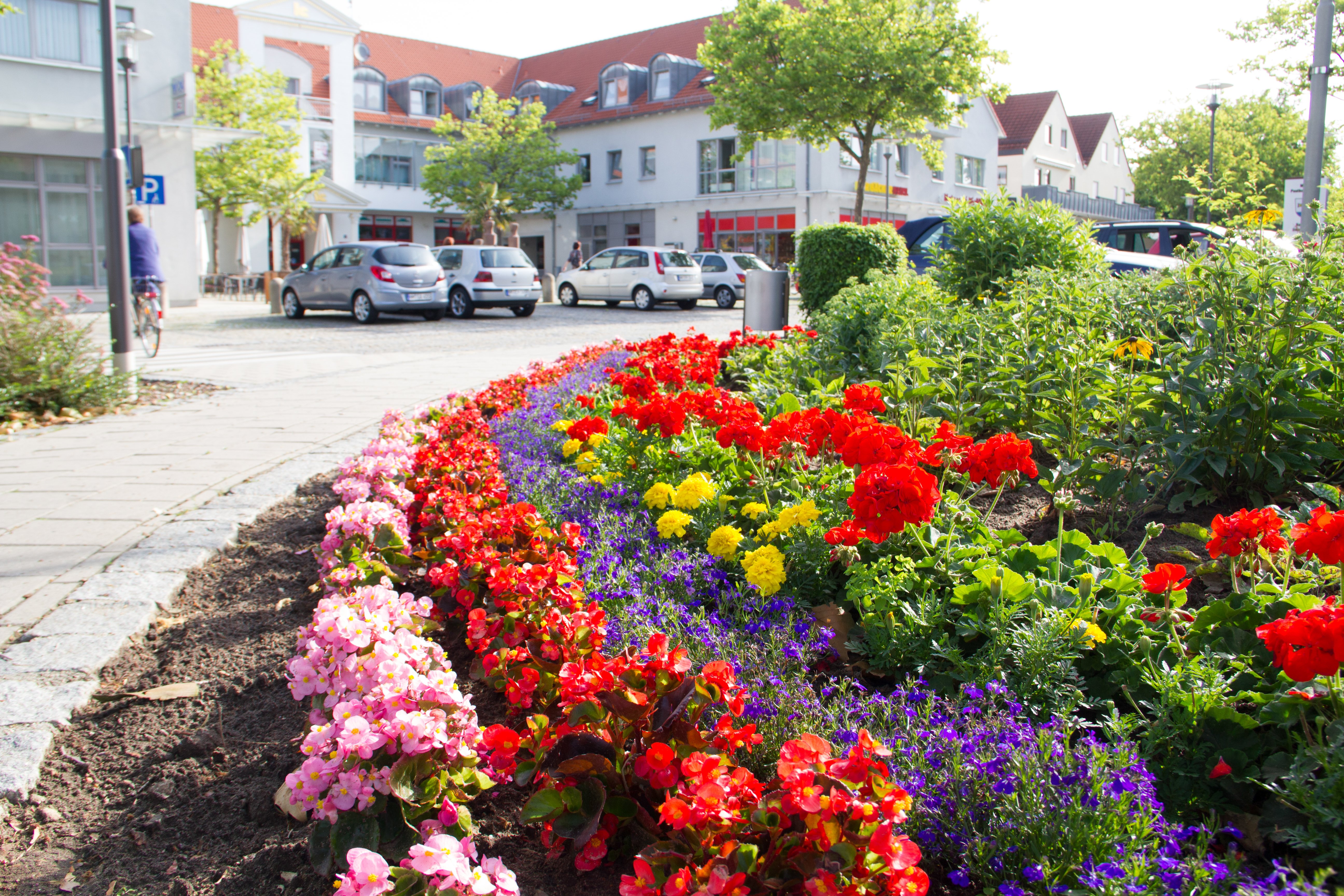 Blumen im Centrum