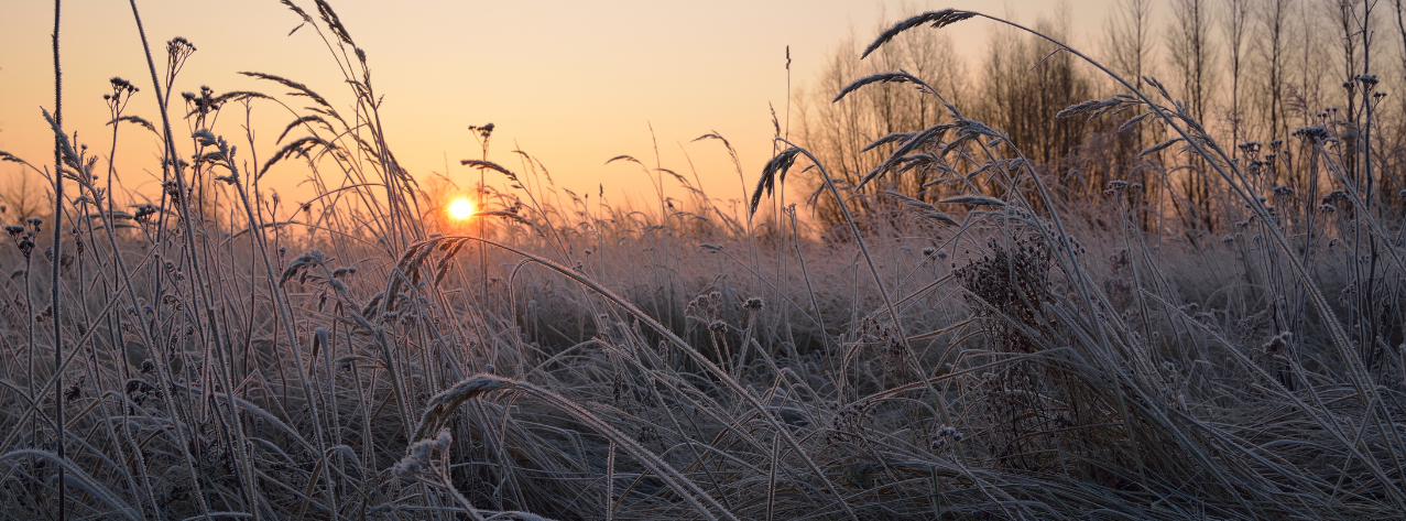 Beige Modern Collage Illustration Scribbles Café Coffeeshop Süß Lebensmittel Facebook-Titelbild - 3