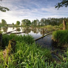Bibersee