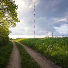 Poesieweg