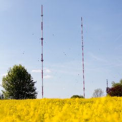 Weg der Poesie Dillberg