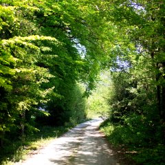 Weg der Poesie Dillberg