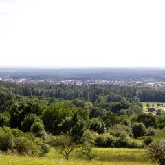 Weg der Poesie Dillberg