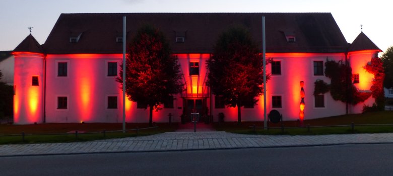 2020 Night of Lights - Deutschordenschloss