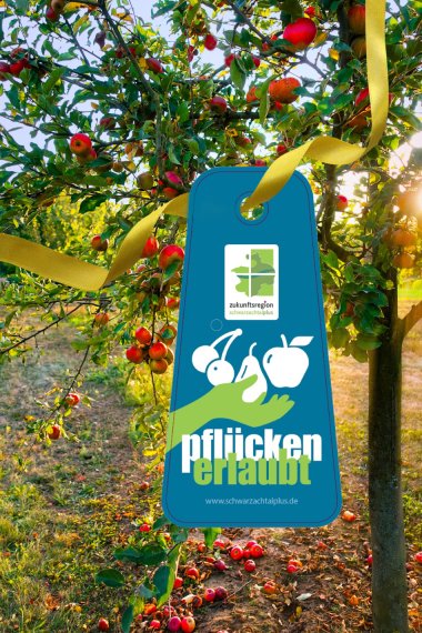 "pflücken erlaubt" Schild an einem Apfelbaum