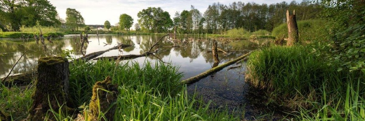 Postbauer-Heng Bibersee